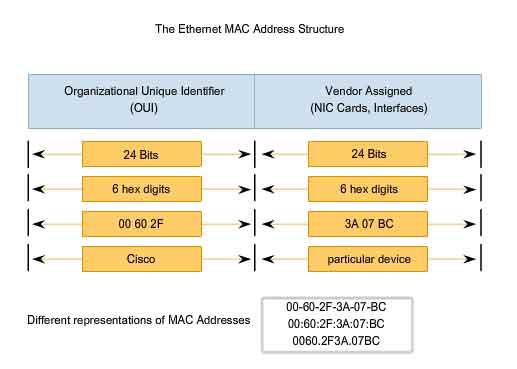 Ethernet MAC Address Structure