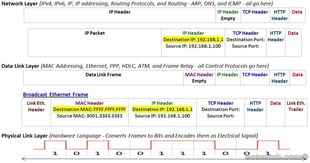 Understanding ARP Broadcast Message