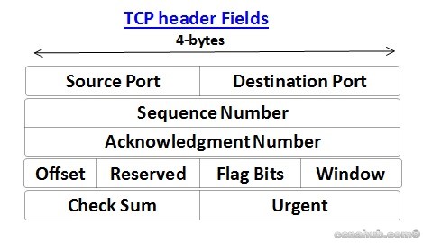 Understanding TCP and UDP Protocols