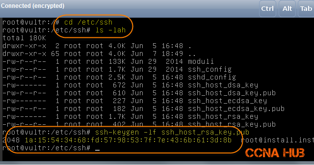 VPS Remote Management using SSH Terminal